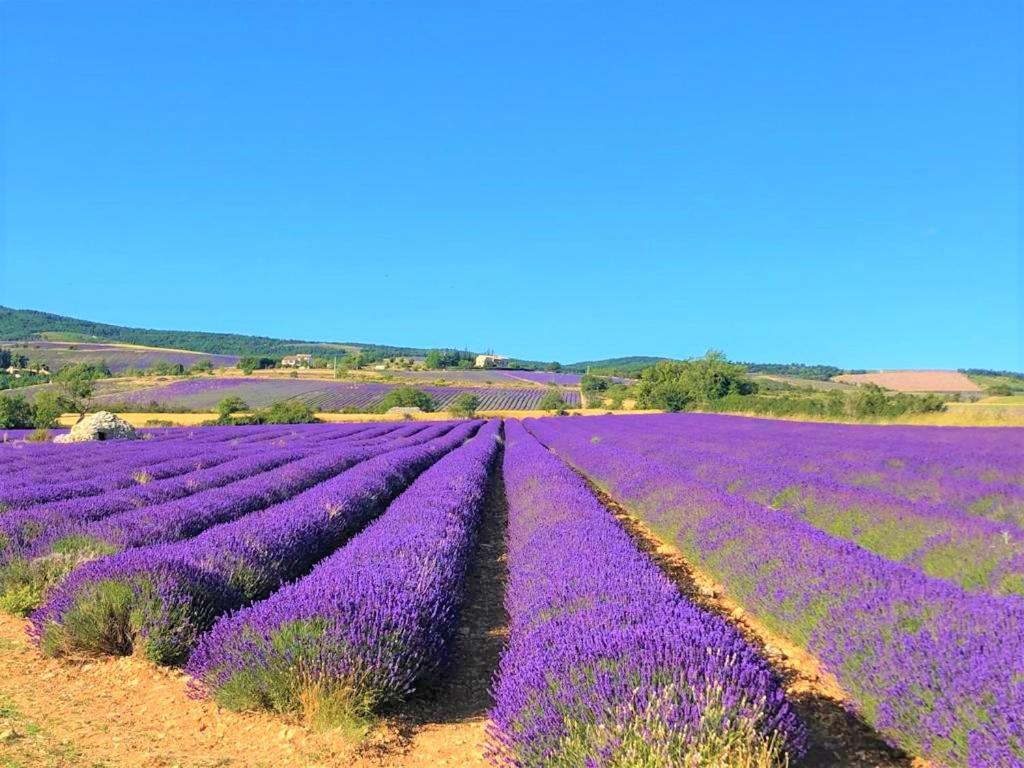 Domaine Du Val De Sault Otel Dış mekan fotoğraf