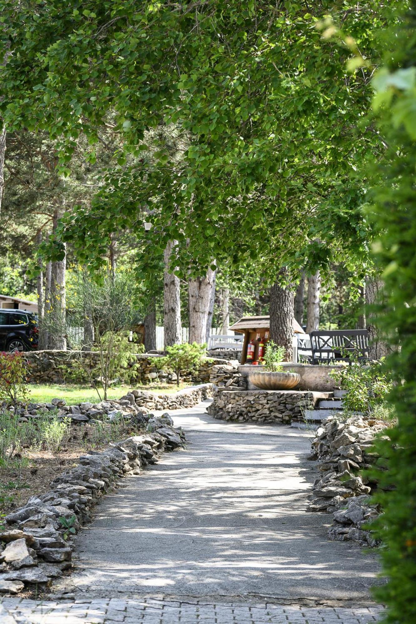 Domaine Du Val De Sault Otel Dış mekan fotoğraf